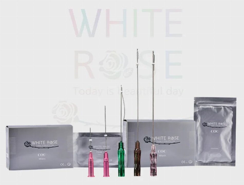 Historia nici liftingujących: